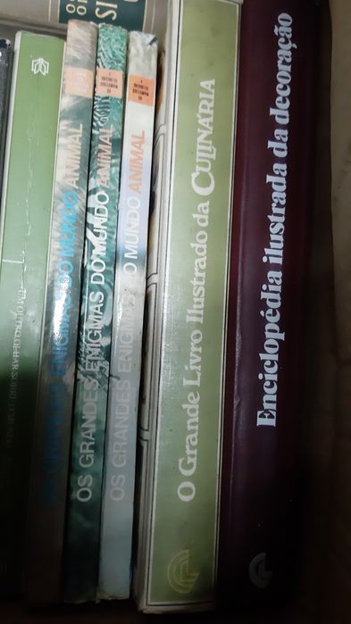Diversos livros em bom estado