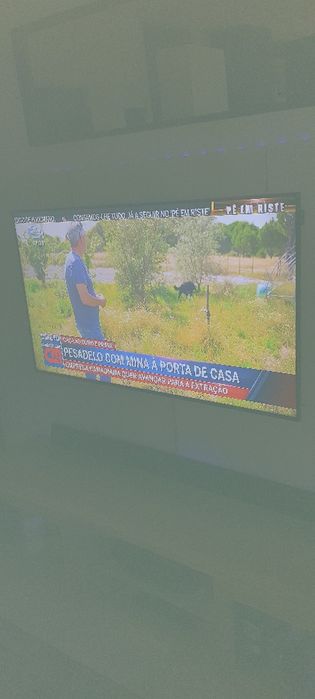 Monitor Samsung DM55E