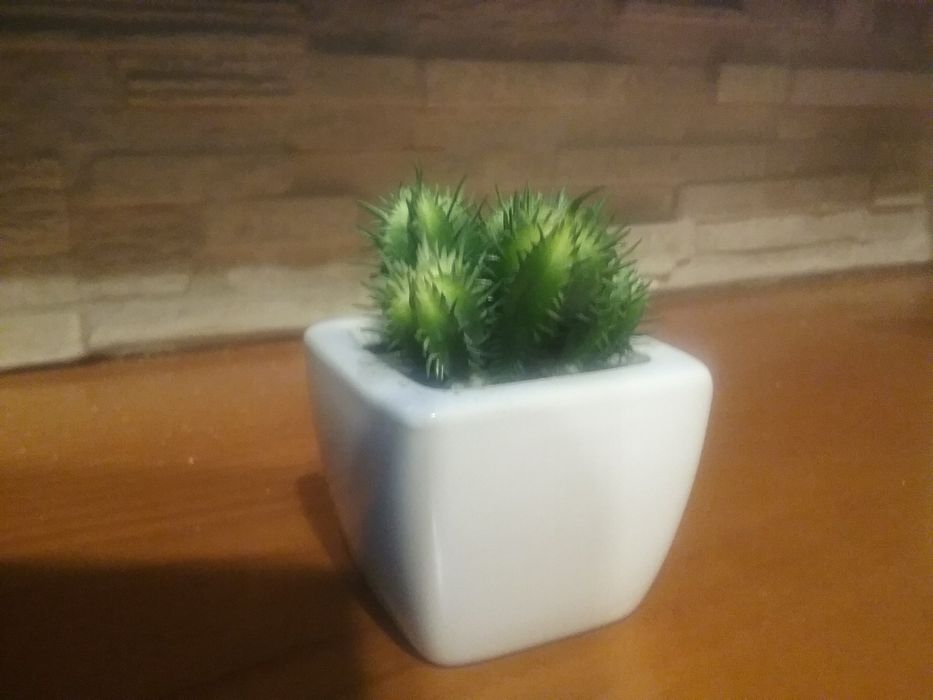 Кактус  штучний декор кераміка