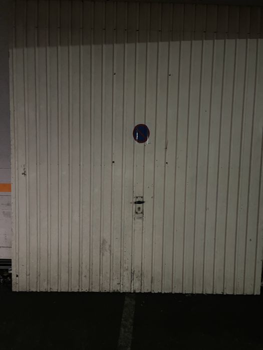 Vendo portao completo com mola