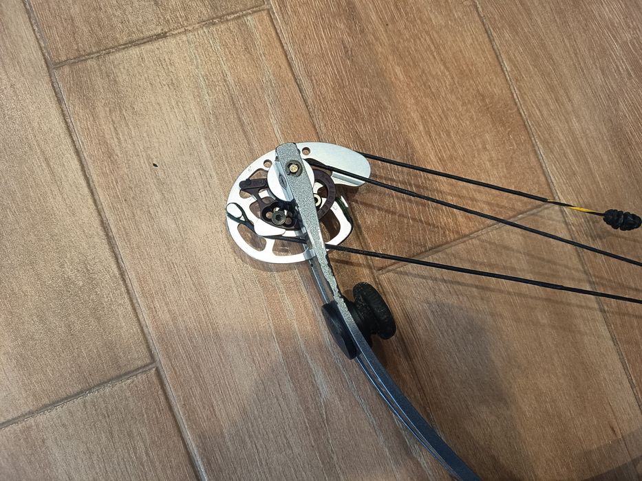 Arco compound hoyt (composto)