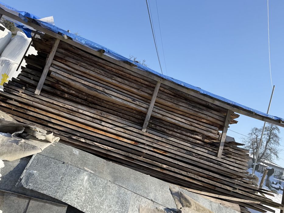 Foszty dębowe 3letnie