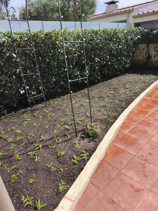 Serviços jardinagem