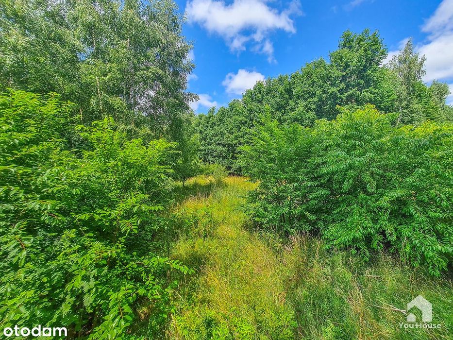 Działka budowlana 1339 m² – Tereszewo ( 3km do jeziora) - Widok 2