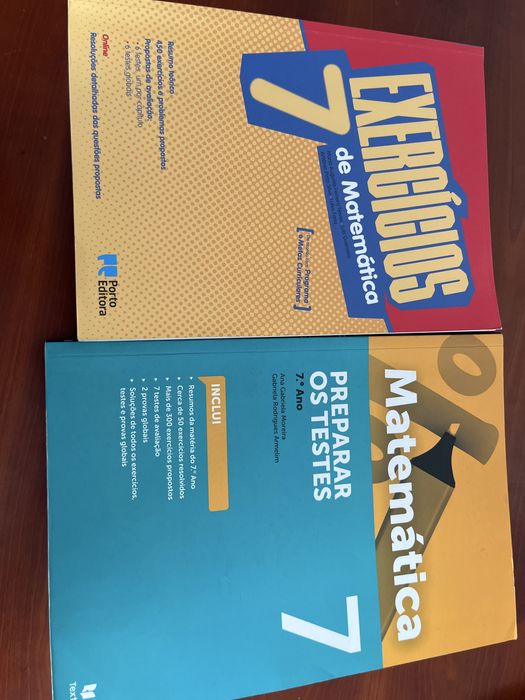 2 livros de apoio de matematica 7.ºano