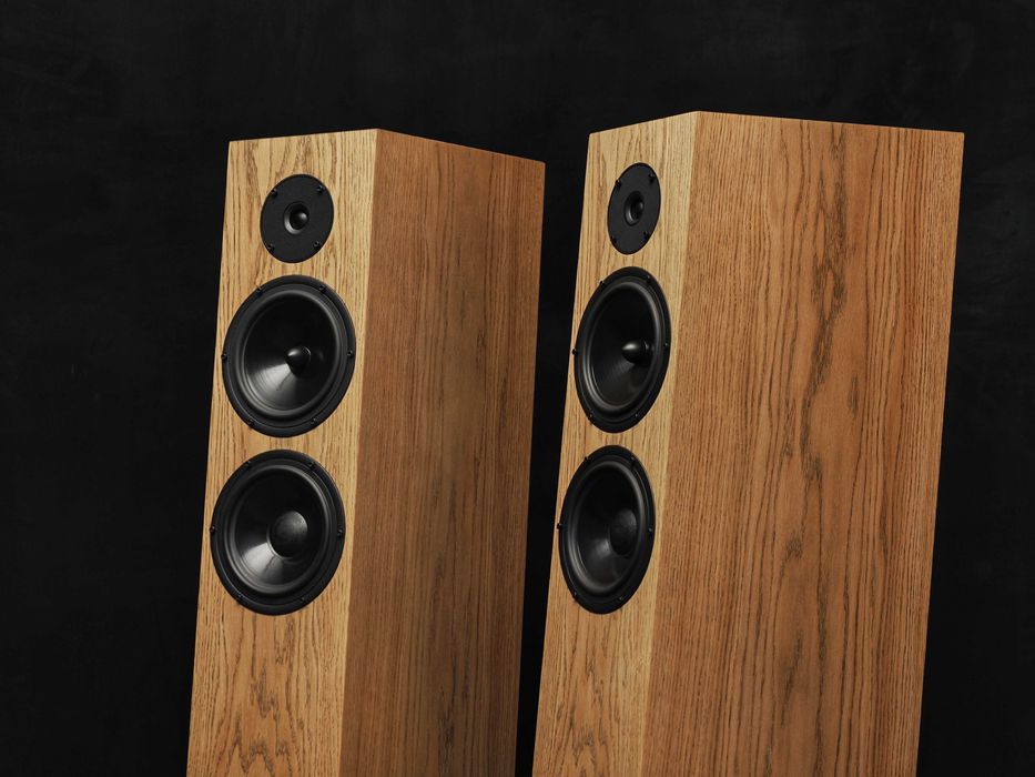 Pylon Audio Diamond 28 MKII kolumny podłogowe fornir dębowy nowe