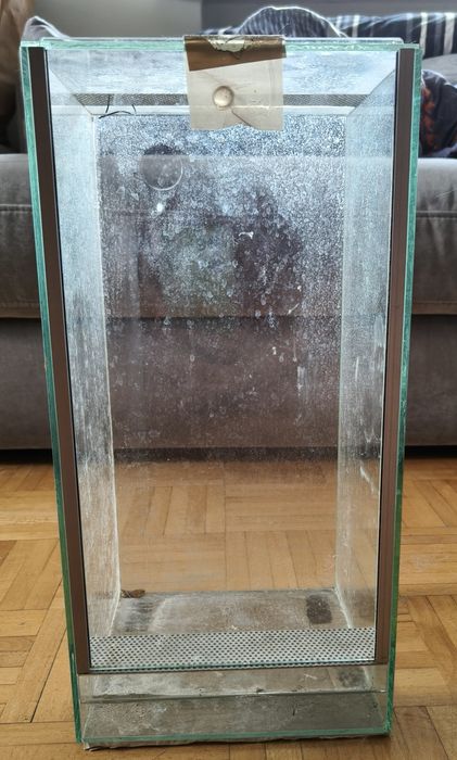 Mini terrarium używane