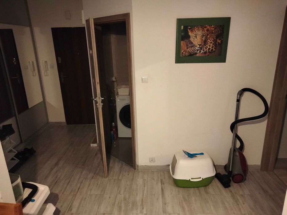 Mieszkanie – Gdańsk - Widok 3