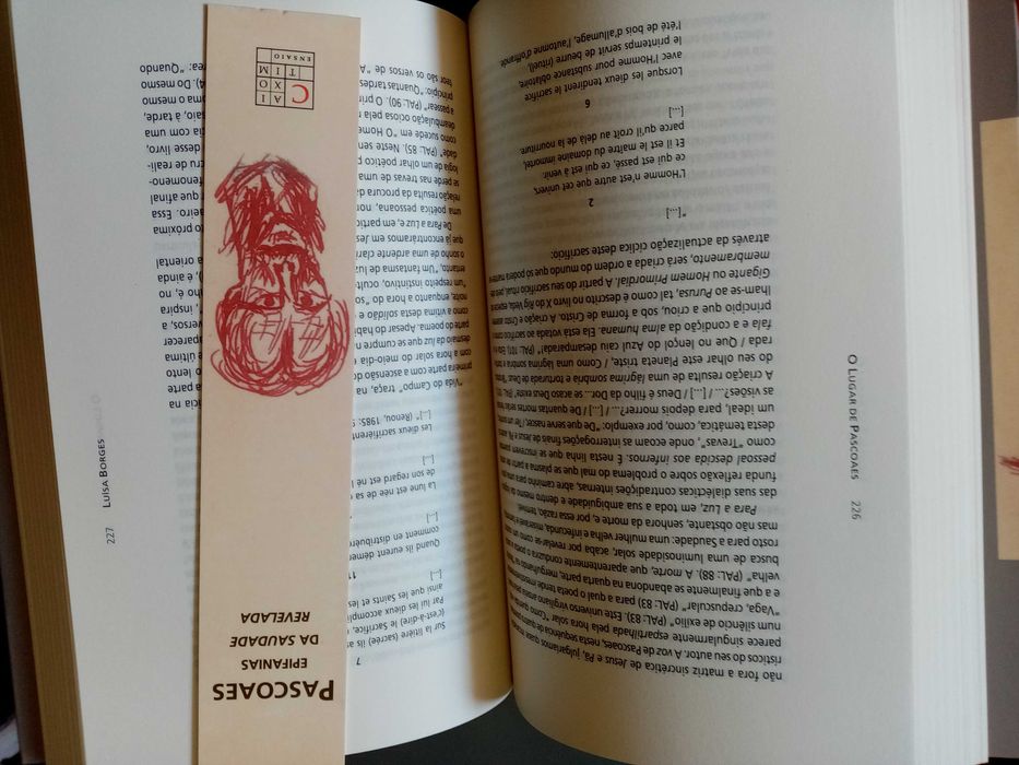 O Lugar de Pascoaes Epifanias da Saudade Revelada