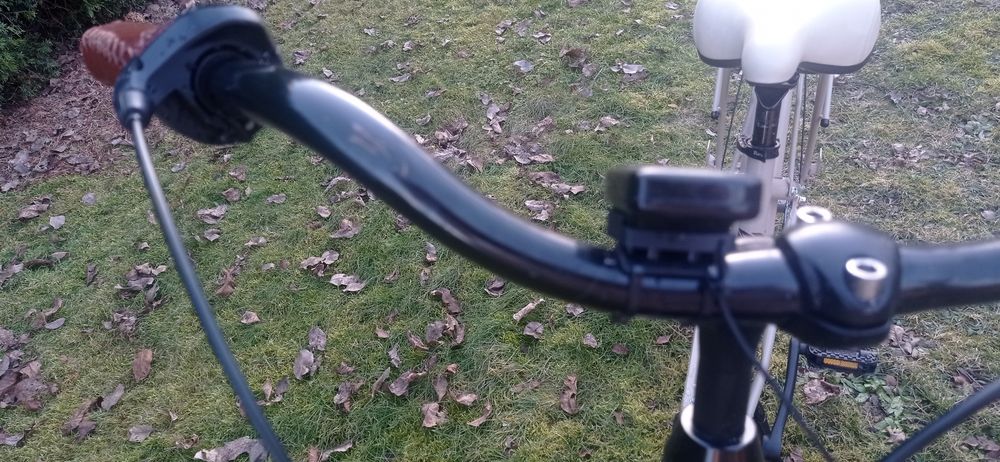 Sprzedam rower miejski Ravio Bikes.