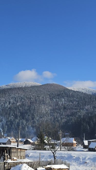 Відпочинок в Карпатах,Ворохта,котедж" Віадук"