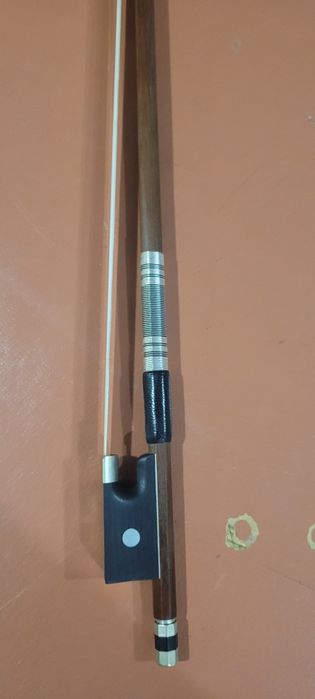 Смички скрипкові