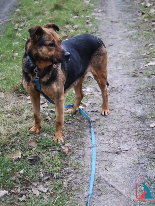 Matylda 469/24 - SZUKA DOMU!