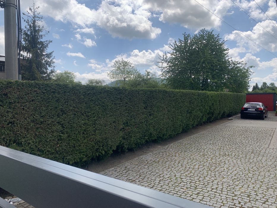 Usługi ogrodnicze, przycinanie żywopłotów, wcinka drzew, rabaty, wertykulacja trawnika