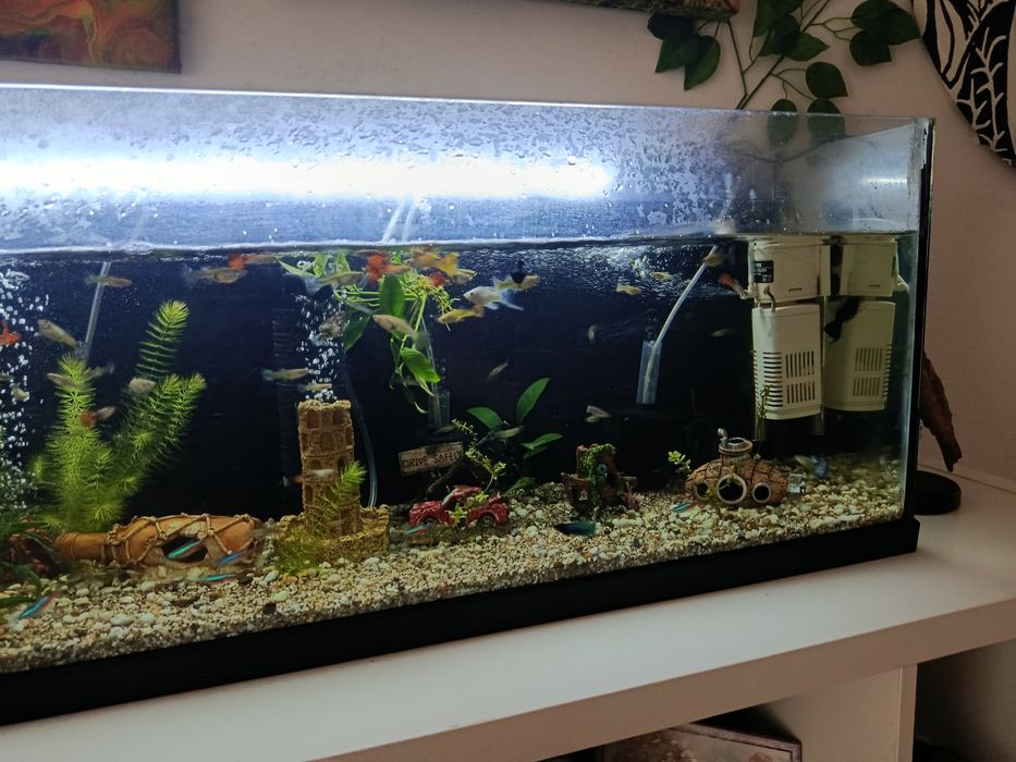 Vendo aquário completo urgente