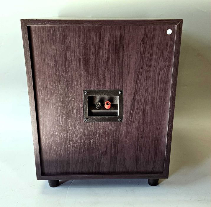 Subwoofer pasywny CARBON – mocny bas 10” | 150W RMS