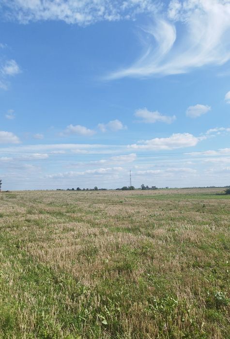 Grunty rolne na sprzedaż BARTLEWO