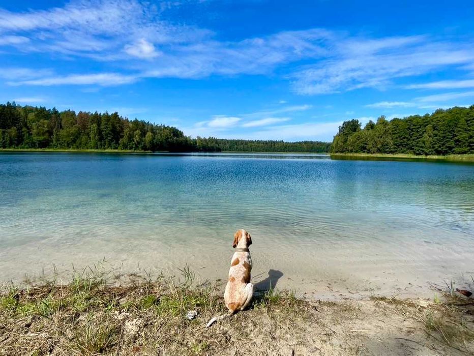 Dom na Warmii i Mazurach z sauną i banią, okolice jeziora Dadaj