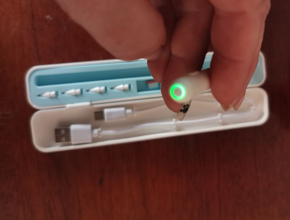 Стилус  у  кейсі