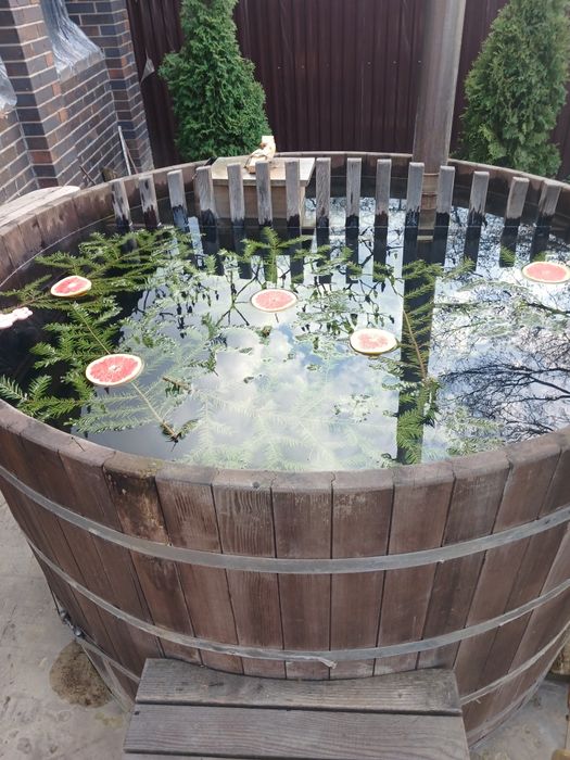 Банька на дровах