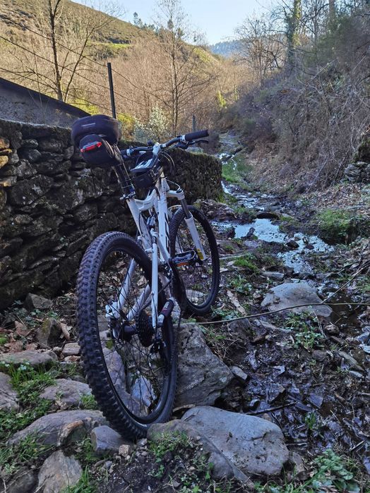 Bicicleta Scrapper SCR