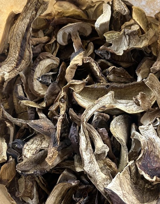 Grzyby suszone- tegoroczne