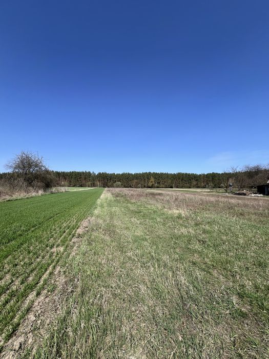 Продаж Земельна ділянка. Без комісії %