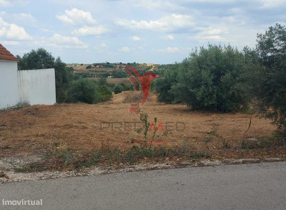 Terreno Rústico com viabilidade em Abitureiras, Santarém.