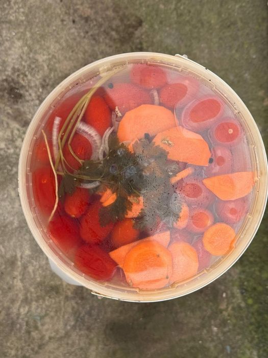 Квашені помідори та огірок