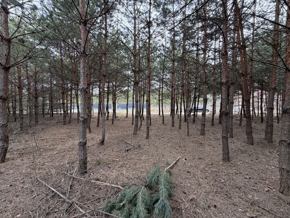 Продам ділянку під забудову в лісі 12,5 соток с. Бобриця, без %