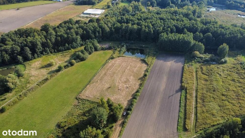 Działki Budowlane W Strzelcach, Gm. Dobroszyce
