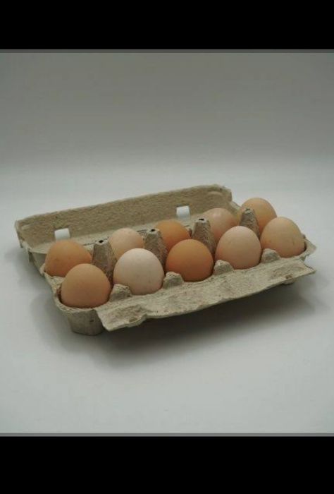 Jajka świerze od kur z wolnego wybiegu