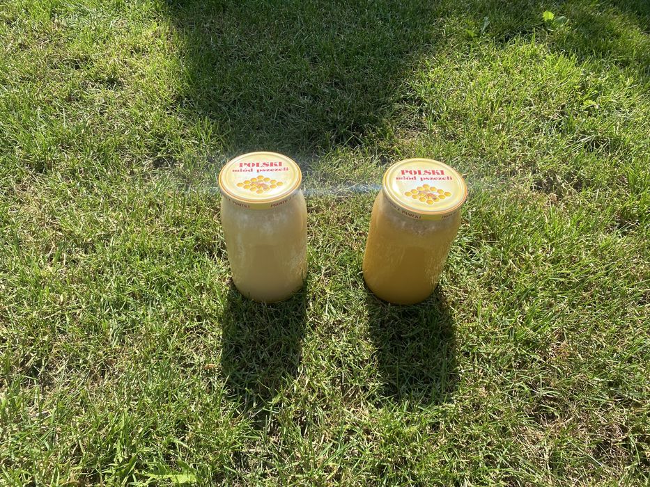 Naturalny miód z pasieki – gwarancja jakości