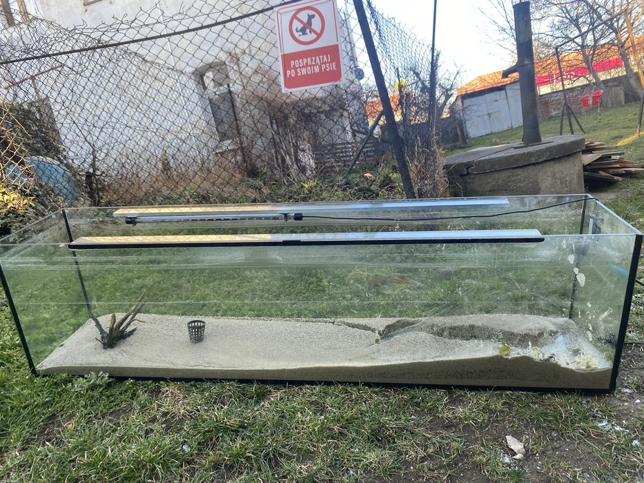 Terarium do sprzedania