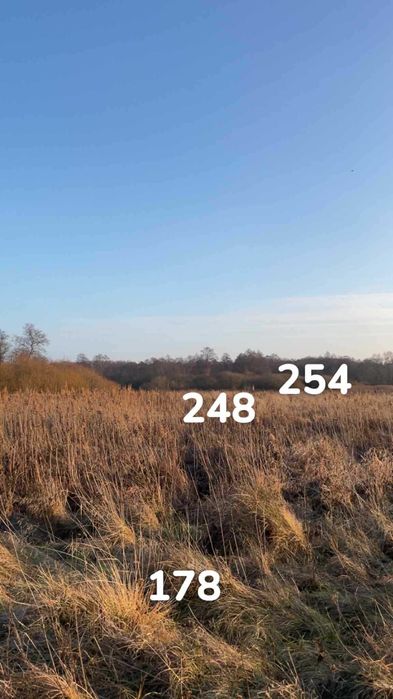 Sprzedam Działkę Rolno-łąkową Blisko rzeki Pilica - Widok 4