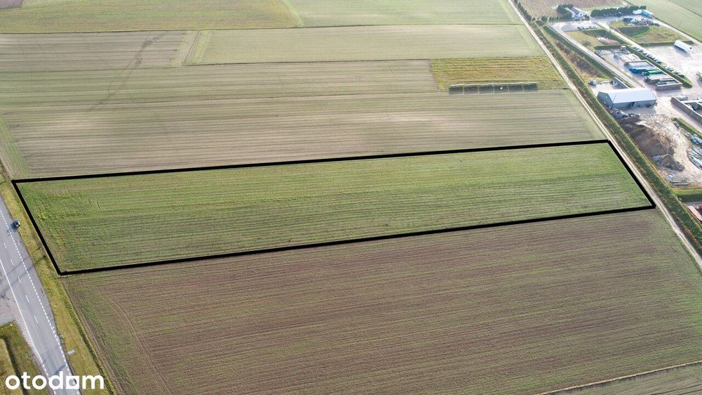 Działka inwestycyjna w Chociwiu - 12 km od S8 - Widok 3
