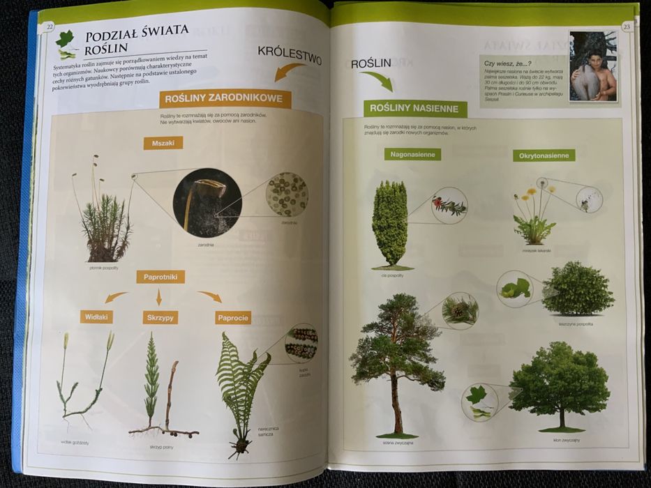 Atlas ilustrowany Nowa era Świat przyrody do klas 1-3