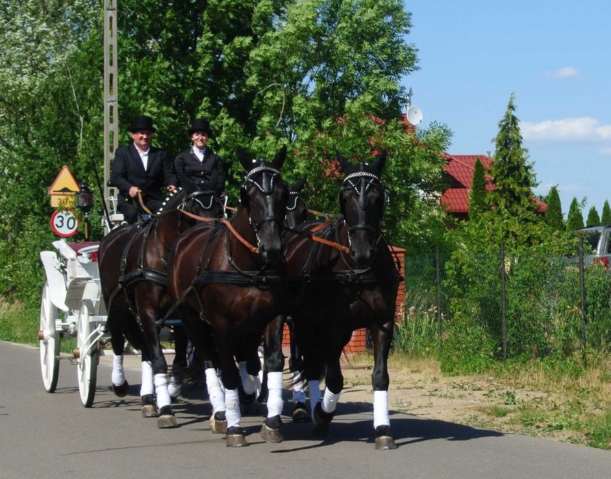 *** Bryczką do ślubu ***