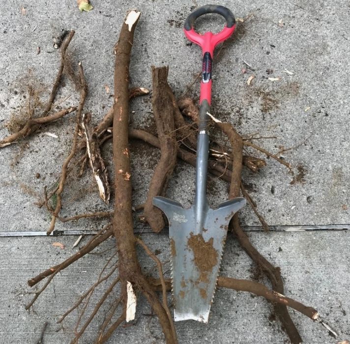 Szpadel Root Slayer pogromca korzeni bonsai