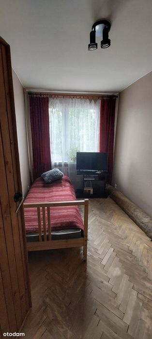 Zdjęcie 7