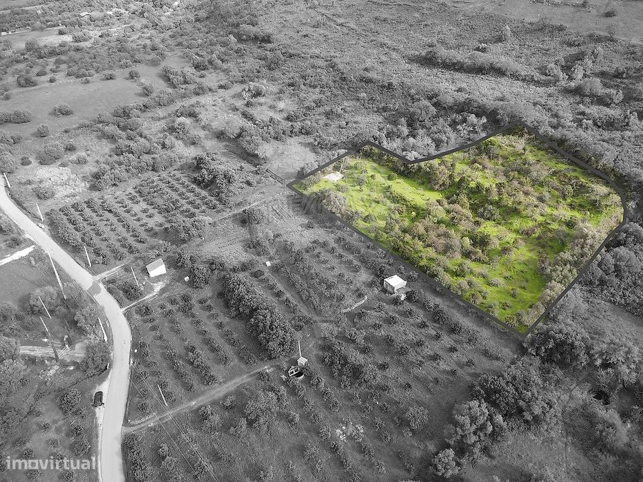 Terreno  para venda — São Bartolomeu de Messines, Faro