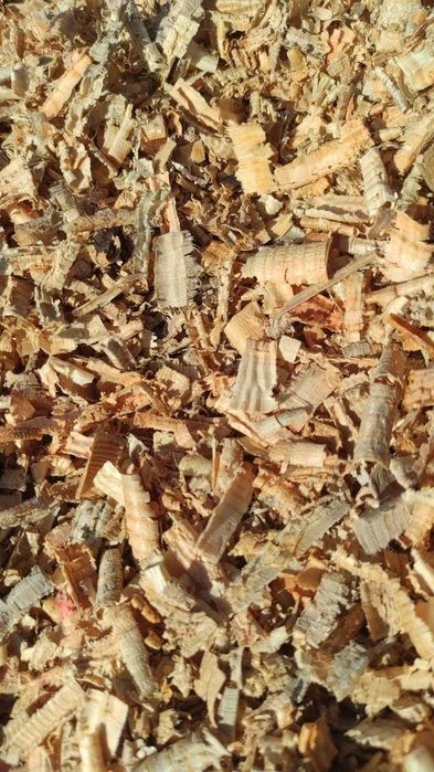 Aparas de madeira de pinho (camas cavalos, aves, etc)