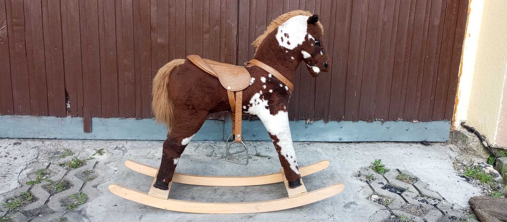 konik na biegunach