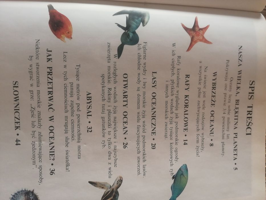 Życie oceanu mały odkrywca, książka dla dzieci