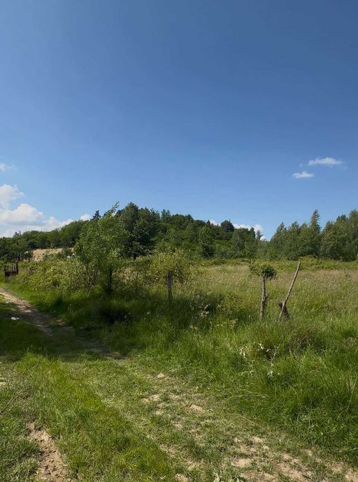 Продається земельна ділянка в смт. Солотвино