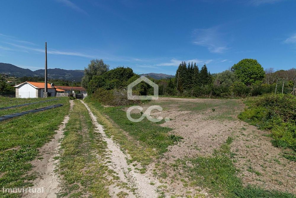 Quinta com Produção de mirtilo e framboesa em Requeixo - Póvoa de Lanh