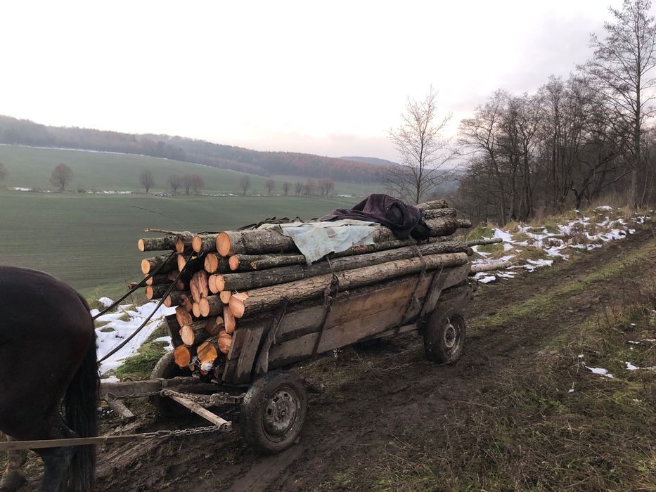 Продам дрова вільха