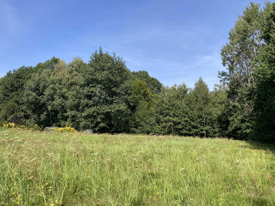 Działka dla dewelopera Koźmice Wielkie 1,12ha