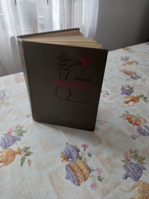 Енцеклопедія майже нова