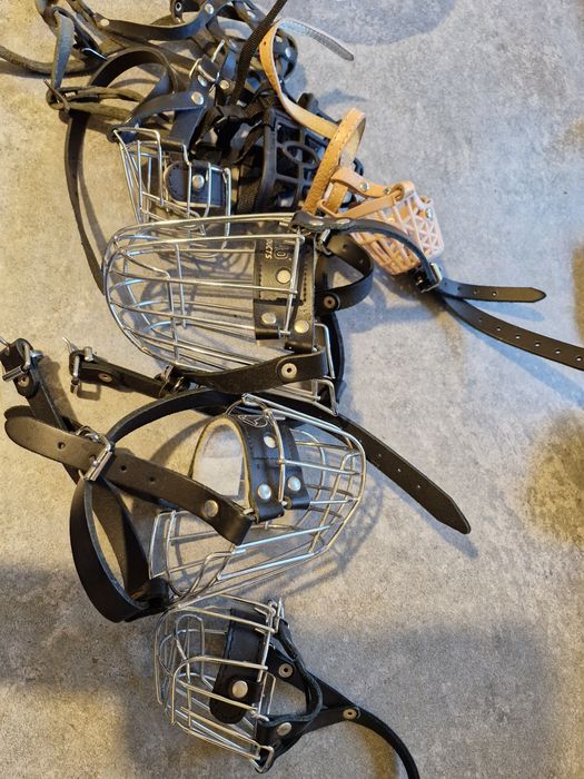 Kaganiec dla psa kagańce  7szt